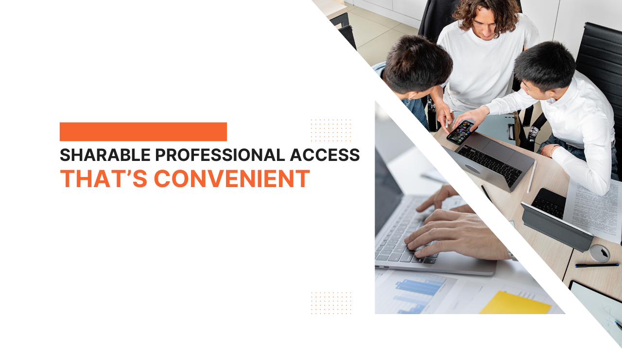 The triple layer professional business access